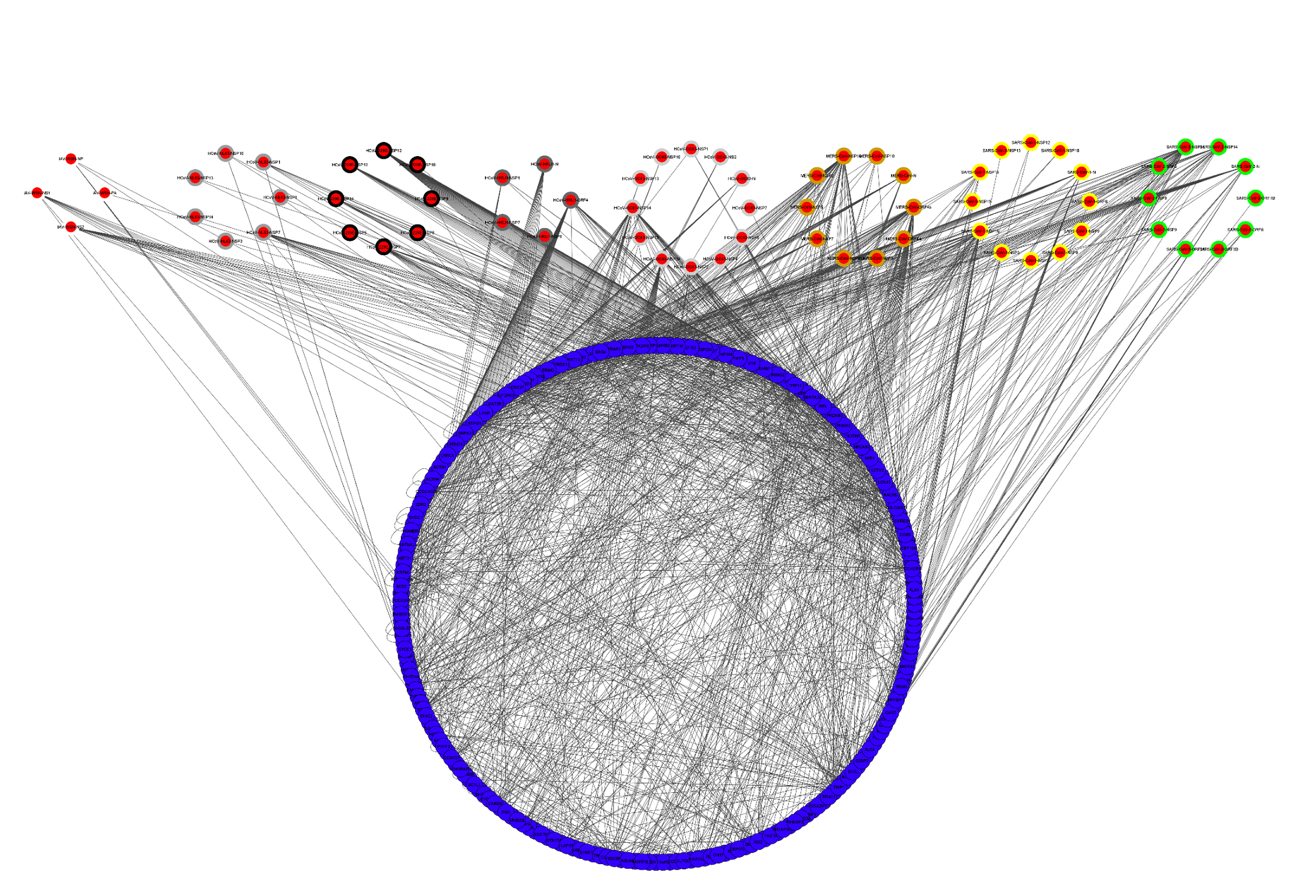 Pan-Corona Network without further details